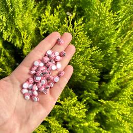 1 CM YAPIŞKANLI PEMBE UĞUR BÖCEĞİ 10 ADET